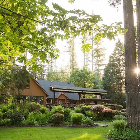 Eagle Rock Lodge Vida Luaran gambar
